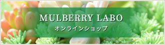 MULBERRY LABO オンラインショップ