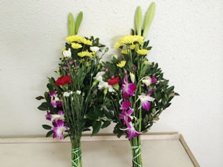 2,050円×12ヶ月コース
